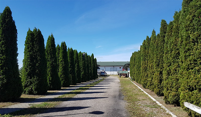 Wjazd do stajnia